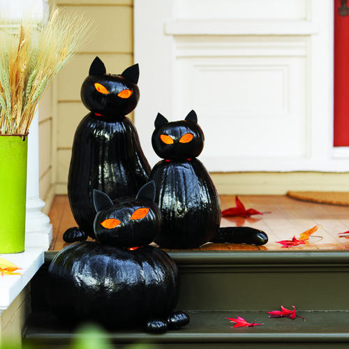 DIY black cat o'lanterns