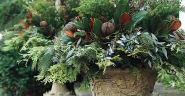 Five Lush Winter Planters